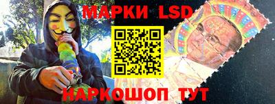 шишки Камышлов