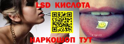 шишки Камышлов