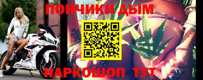 шишки Камышлов