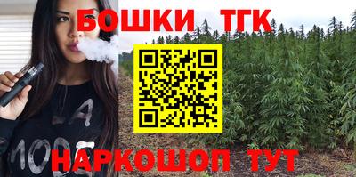 шишки Камышлов