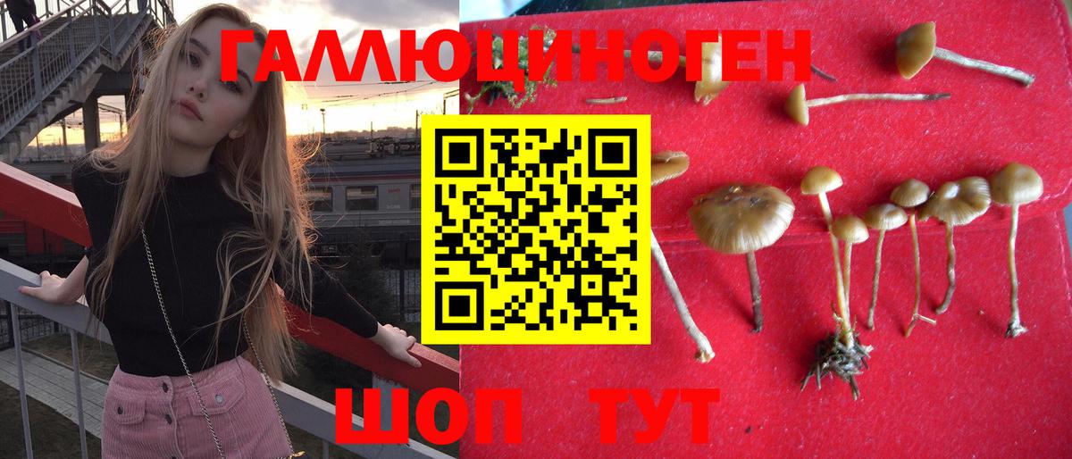 Псилоцибиновые грибы Cubensis Аксай