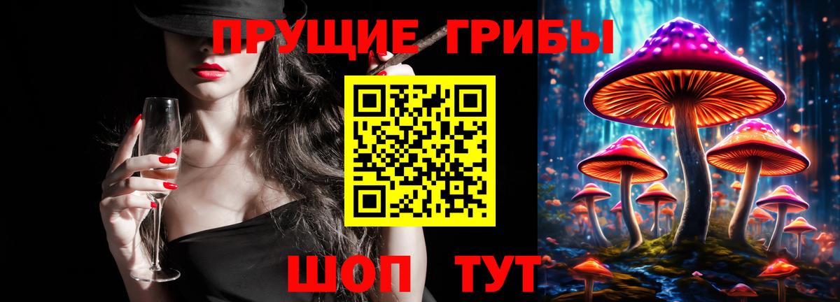 Аксай  Псилоцибиновые грибы Psilocybe  Вход с VPN  Псилоцибиновые грибы Cubensis 